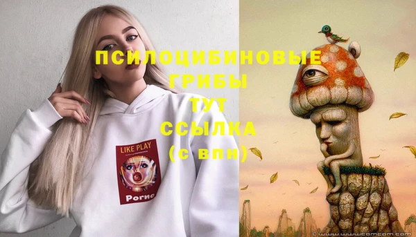прущий лед Алзамай