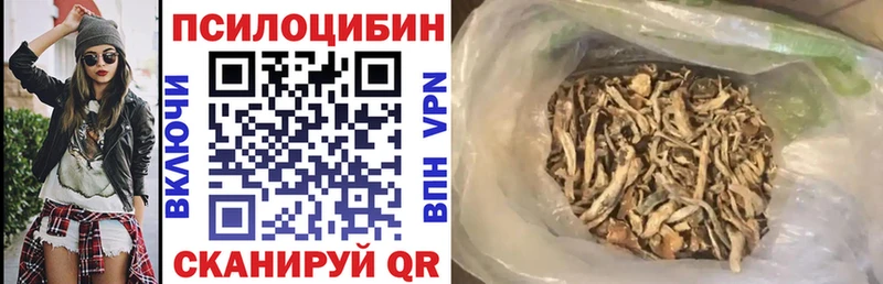 что такое Сорочинск гидра вход Псилоцибиновые грибы Psilocybine cubensis