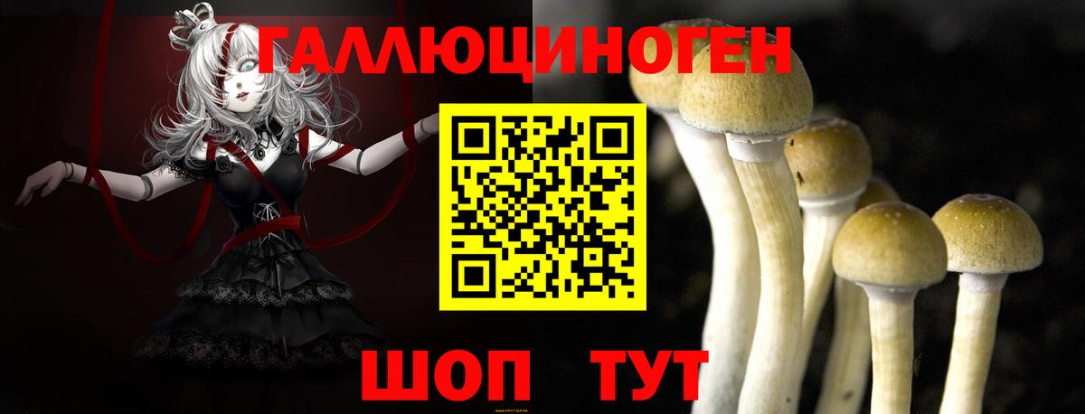 Галлюциногенные грибы Cubensis Сорочинск